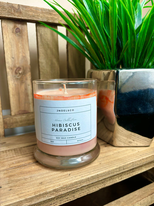 Hibiscus paradise